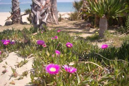 Apartamento A La Playa Algeciras Exteriör bild